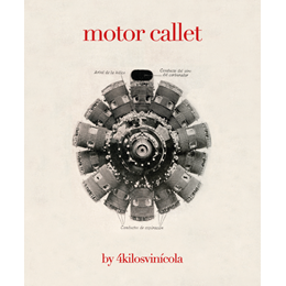 Motor Callet 2019  Red Wine from Mallorca Spain